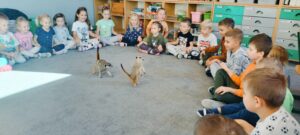 Dzieci w kole siedzą na dywanie. W środku koła stoją surykatki