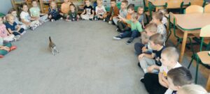 Dzieci w kole siedzą na dywanie. W środku koła stoją surykatki