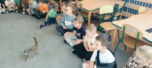 Dzieci siedzą na dywanie, obok biega surykatka