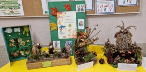 Prace plastyczne z materiałów przyrodniczych.