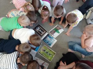 dzieci oglądają różne rodzaje choinek na zdjęciach